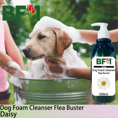 Dog Foam Cleanser Flea Buster (DFC-Dog) - Daisy - 500ml ⭐⭐⭐⭐⭐