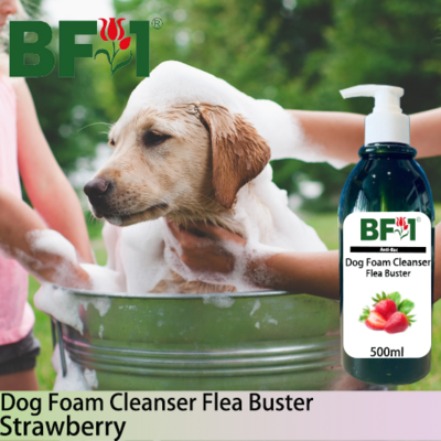 Dog Foam Cleanser Flea Buster (DFC-Dog) - Strawberry - 500ml ⭐⭐⭐⭐⭐