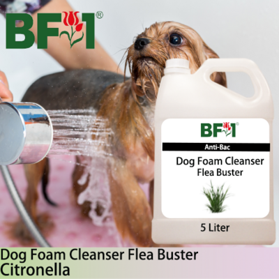 Dog Foam Cleanser Flea Buster (DFC-Dog) - Citronella - 5L ⭐⭐⭐⭐⭐