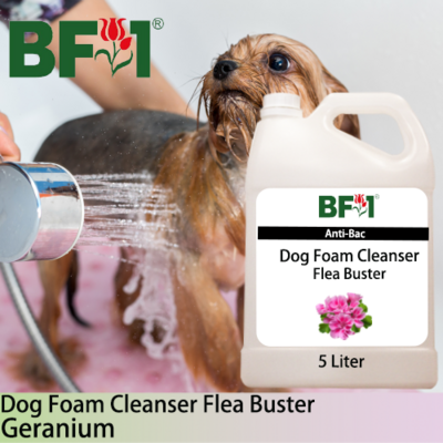 Dog Foam Cleanser Flea Buster (DFC-Dog) - Geranium - 5L ⭐⭐⭐⭐⭐