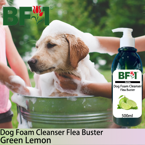 Dog Foam Cleanser Flea Buster (DFC-Dog) - Lemon - Green Lemon - 500ml ⭐⭐⭐⭐⭐