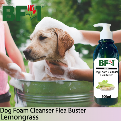 Dog Foam Cleanser Flea Buster (DFC-Dog) - Lemongrass - 500ml ⭐⭐⭐⭐⭐