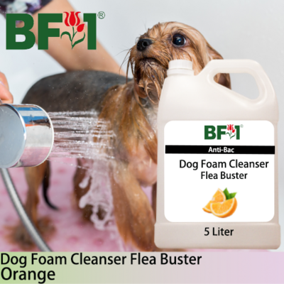 Dog Foam Cleanser Flea Buster (DFC-Dog) - Orange - 5L ⭐⭐⭐⭐⭐
