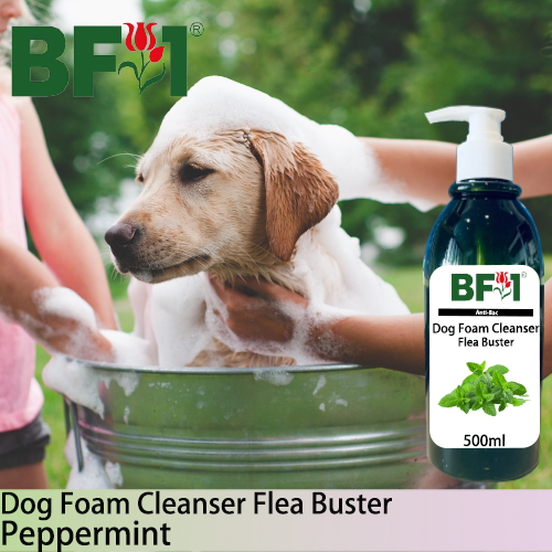 Dog Foam Cleanser Flea Buster (DFC-Dog) - mint - Peppermint - 500ml ⭐⭐⭐⭐⭐