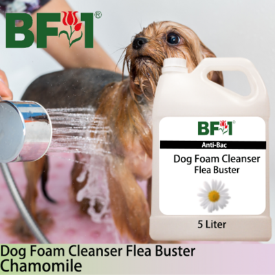 Dog Foam Cleanser Flea Buster (DFC-Dog) - Chamomile - 5L ⭐⭐⭐⭐⭐