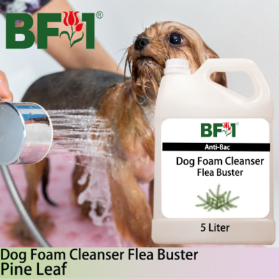 Dog Foam Cleanser Flea Buster (DFC-Dog) - Pine Leaf - 5L ⭐⭐⭐⭐⭐