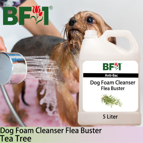 Dog Foam Cleanser Flea Buster (DFC-Dog) - Tea Tree - 5L ⭐⭐⭐⭐⭐