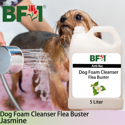 Dog Foam Cleanser Flea Buster (DFC-Dog) - Jasmine - 5L ⭐⭐⭐⭐⭐