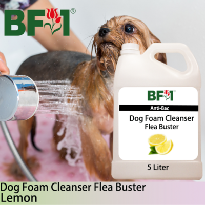 Dog Foam Cleanser Flea Buster (DFC-Dog) - Lemon - 5L ⭐⭐⭐⭐⭐