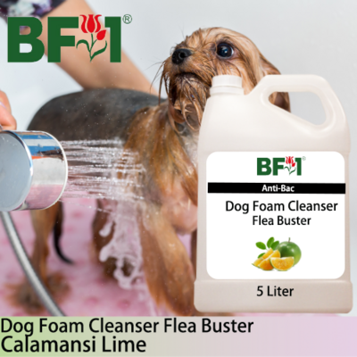 Dog Foam Cleanser Flea Buster (DFC-Dog) - lime - Calamansi Lime - 5L ⭐⭐⭐⭐⭐