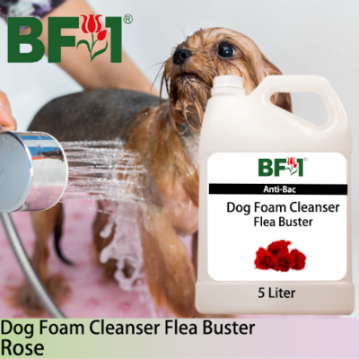Dog Foam Cleanser Flea Buster (DFC-Dog) - Rose - 5L ⭐⭐⭐⭐⭐