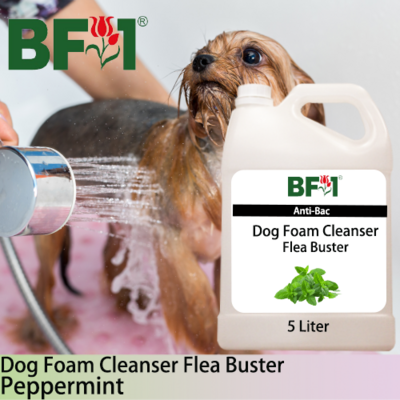 Dog Foam Cleanser Flea Buster (DFC-Dog) - mint - Peppermint - 5L ⭐⭐⭐⭐⭐