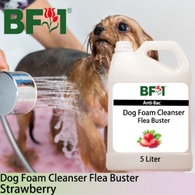 Dog Foam Cleanser Flea Buster (DFC-Dog) - Strawberry - 5L ⭐⭐⭐⭐⭐