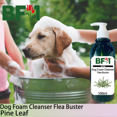 Dog Foam Cleanser Flea Buster (DFC-Dog) - Pine Leaf - 500ml ⭐⭐⭐⭐⭐