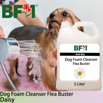 Dog Foam Cleanser Flea Buster (DFC-Dog) - Daisy - 5L ⭐⭐⭐⭐⭐