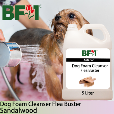 Dog Foam Cleanser Flea Buster (DFC-Dog) - Sandalwood - 5L ⭐⭐⭐⭐⭐