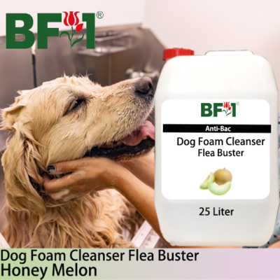 Dog Foam Cleanser Flea Buster (DFC-Dog) - Honey Melon - 25L ⭐⭐⭐⭐⭐