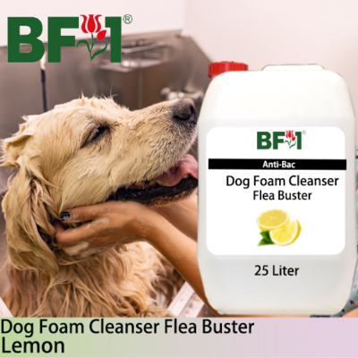 Dog Foam Cleanser Flea Buster (DFC-Dog) - Lemon - 25L ⭐⭐⭐⭐⭐