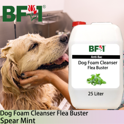 Dog Foam Cleanser Flea Buster (DFC-Dog) - mint - Spear Mint - 25L ⭐⭐⭐⭐⭐