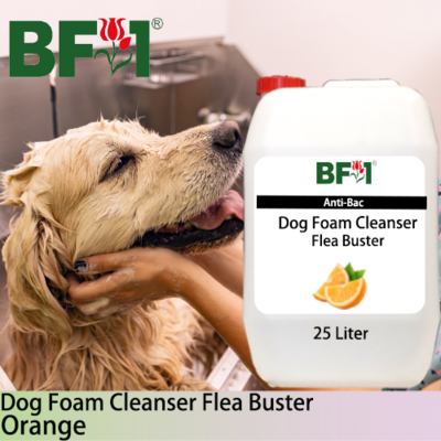 Dog Foam Cleanser Flea Buster (DFC-Dog) - Orange - 25L ⭐⭐⭐⭐⭐