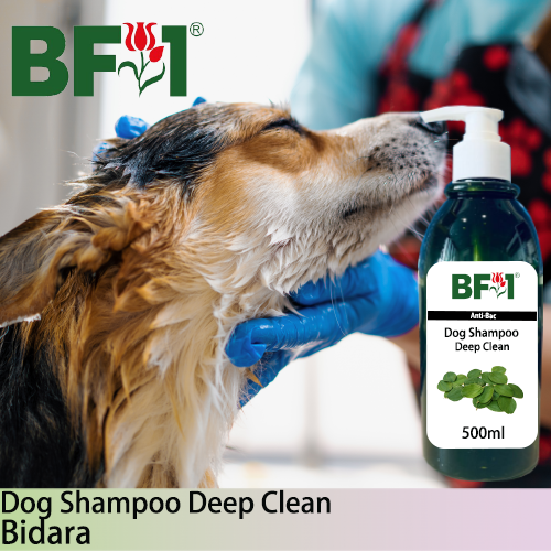 Dog Shampoo Deep Clean (DSDC-Dog) - Bidara - 500ml ⭐⭐⭐⭐⭐