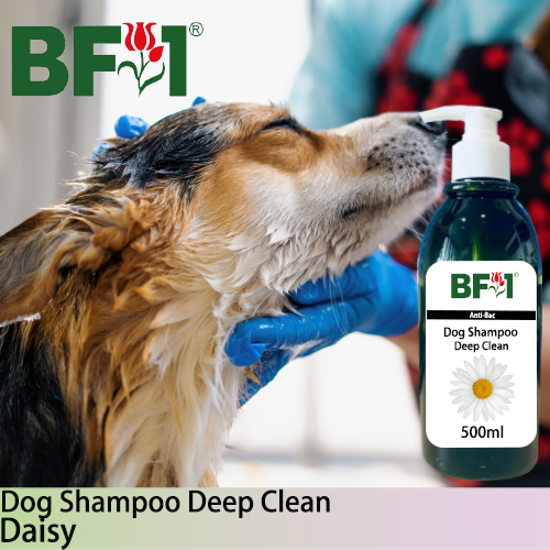 Dog Shampoo Deep Clean (DSDC-Dog) - Daisy - 500ml ⭐⭐⭐⭐⭐