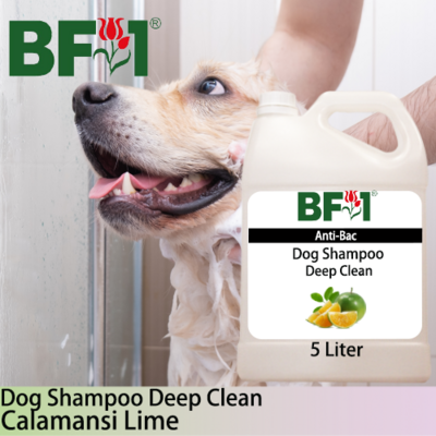 Dog Shampoo Deep Clean (DSDC-Dog) - lime - Calamansi Lime - 5L ⭐⭐⭐⭐⭐