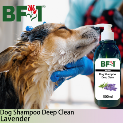 Dog Shampoo Deep Clean (DSDC-Dog) - Lavender - 500ml ⭐⭐⭐⭐⭐