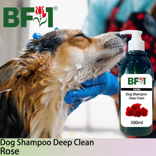 Dog Shampoo Deep Clean (DSDC-Dog) - Rose - 500ml ⭐⭐⭐⭐⭐