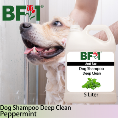 Dog Shampoo Deep Clean (DSDC-Dog) - mint - Peppermint - 5L ⭐⭐⭐⭐⭐