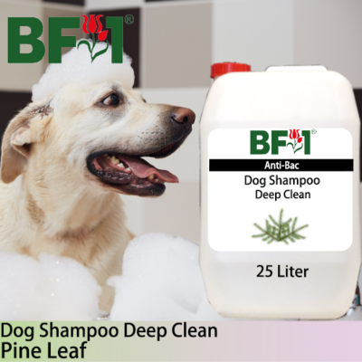 Dog Shampoo Deep Clean (DSDC-Dog) - Pine Leaf - 25L ⭐⭐⭐⭐⭐