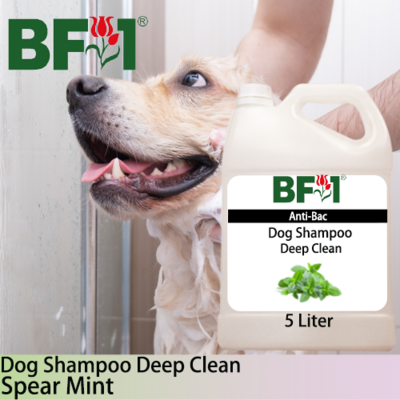 Dog Shampoo Deep Clean (DSDC-Dog) - mint - Spear Mint - 5L ⭐⭐⭐⭐⭐