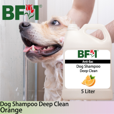 Dog Shampoo Deep Clean (DSDC-Dog) - Orange - 5L ⭐⭐⭐⭐⭐
