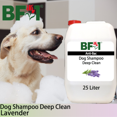 Dog Shampoo Deep Clean (DSDC-Dog) - Lavender - 25L ⭐⭐⭐⭐⭐