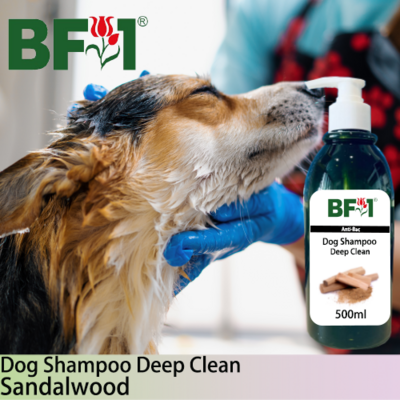 Dog Shampoo Deep Clean (DSDC-Dog) - Sandalwood - 500ml ⭐⭐⭐⭐⭐