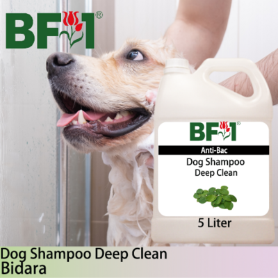 Dog Shampoo Deep Clean (DSDC-Dog) - Bidara - 5L ⭐⭐⭐⭐⭐