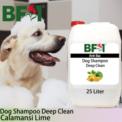 Dog Shampoo Deep Clean (DSDC-Dog) - lime - Calamansi Lime - 25L ⭐⭐⭐⭐⭐