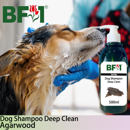 Dog Shampoo Deep Clean (DSDC-Dog) - Agarwood - 500ml ⭐⭐⭐⭐⭐