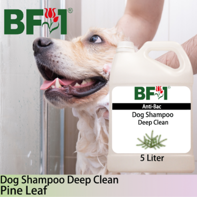 Dog Shampoo Deep Clean (DSDC-Dog) - Pine Leaf - 5L ⭐⭐⭐⭐⭐