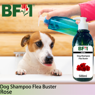 Dog Shampoo Flea Buster (DSO-Dog) - Rose - 500ml ⭐⭐⭐⭐⭐
