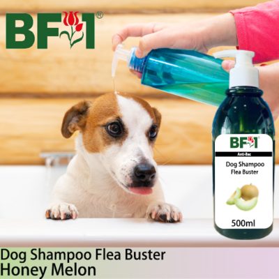 Dog Shampoo Flea Buster (DSO-Dog) - Honey Melon - 500ml ⭐⭐⭐⭐⭐