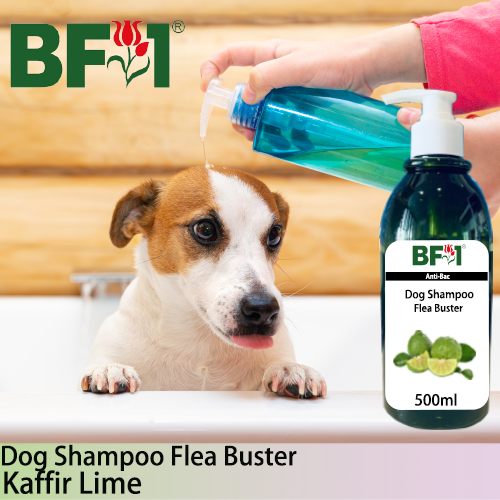 Dog Shampoo Flea Buster (DSO-Dog) - lime - Kaffir Lime - 500ml ⭐⭐⭐⭐⭐