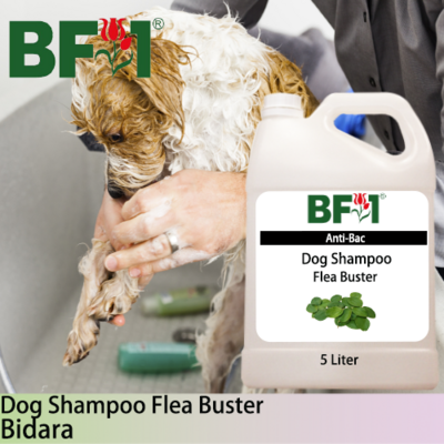 Dog Shampoo Flea Buster (DSO-Dog) - Bidara - 5L ⭐⭐⭐⭐⭐