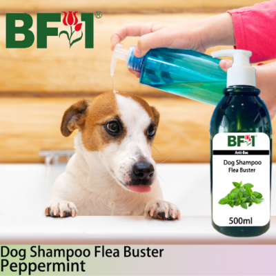 Dog Shampoo Flea Buster (DSO-Dog) - mint - Peppermint - 500ml ⭐⭐⭐⭐⭐