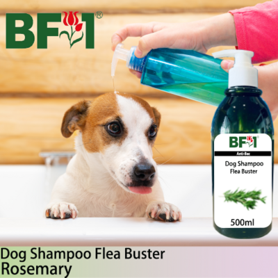 Dog Shampoo Flea Buster (DSO-Dog) - Rosemary - 500ml ⭐⭐⭐⭐⭐