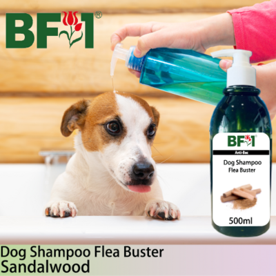 Dog Shampoo Flea Buster (DSO-Dog) - Sandalwood - 500ml ⭐⭐⭐⭐⭐