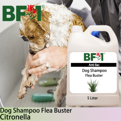 Dog Shampoo Flea Buster (DSO-Dog) - Citronella - 5L ⭐⭐⭐⭐⭐