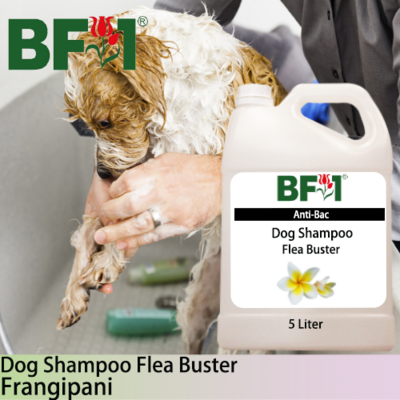 Dog Shampoo Flea Buster (DSO-Dog) - Frangipani - 5L ⭐⭐⭐⭐⭐