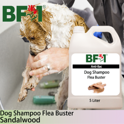 Dog Shampoo Flea Buster (DSO-Dog) - Sandalwood - 5L ⭐⭐⭐⭐⭐