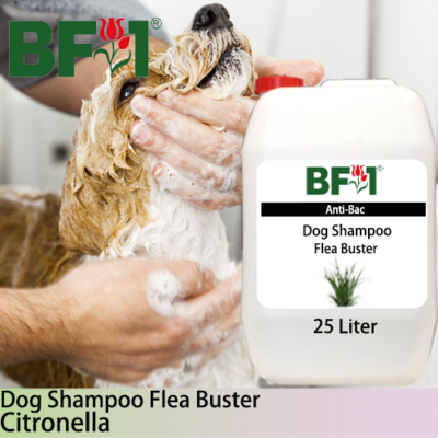 Dog Shampoo Flea Buster (DSO-Dog) - Citronella - 25L ⭐⭐⭐⭐⭐